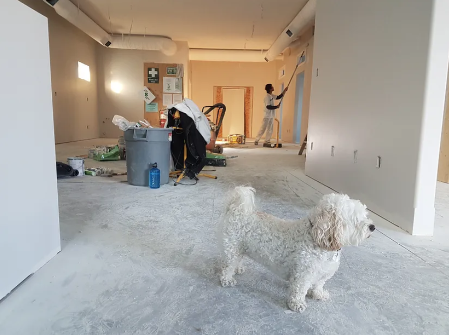 Image of Refurbishing an Apartment - Illustrating Renovation and Modernization in Residential Spaces