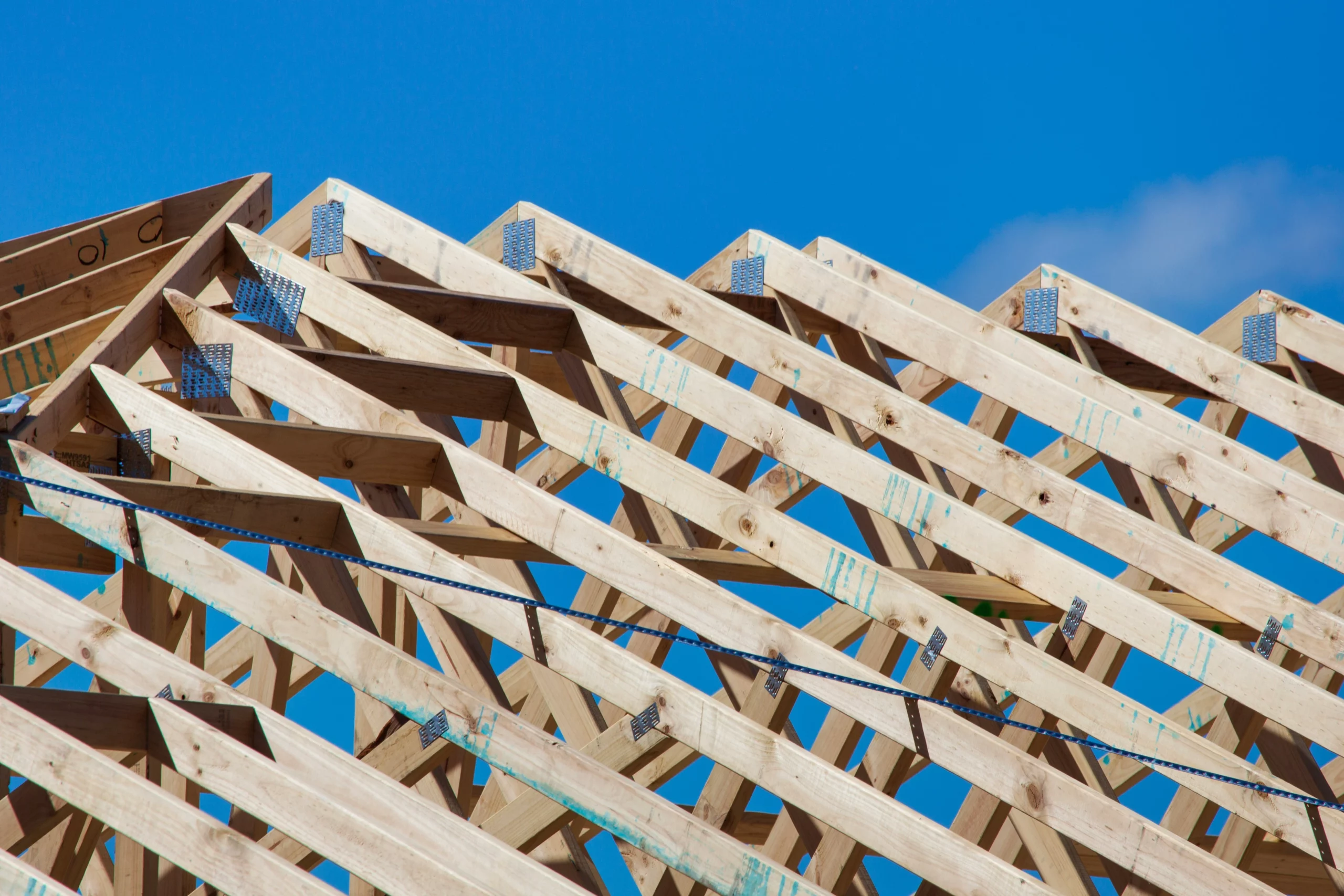 Timber structure for sustainable building