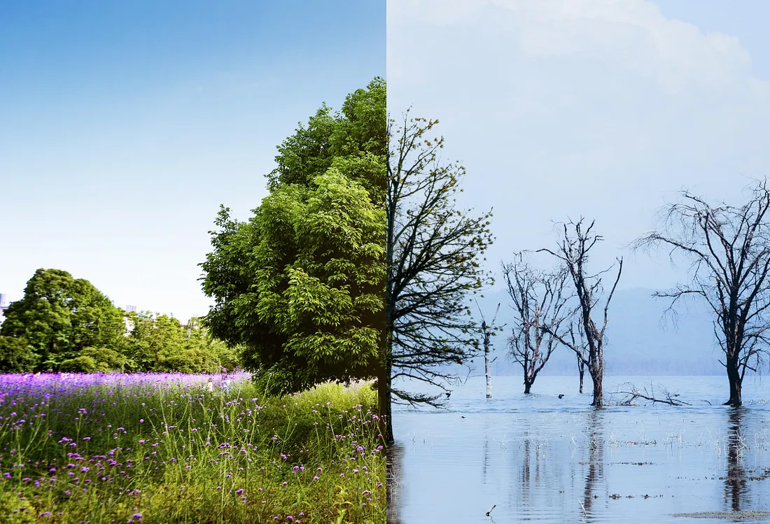 Image illustrating adaptation, resilience, and climate risk management in buildings