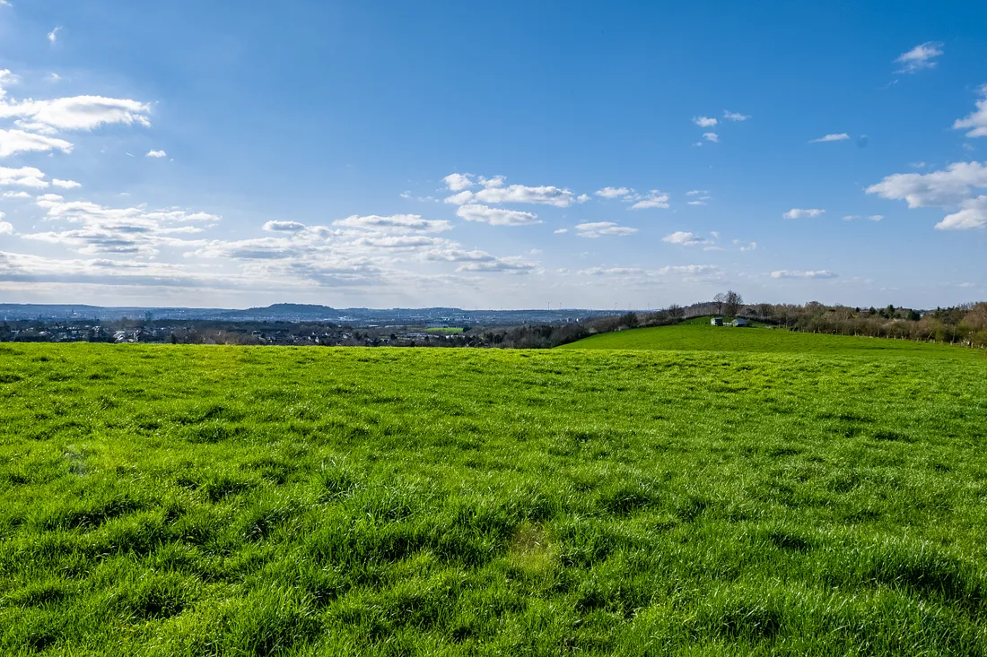 Image illustrating nature and biodiversity in sustainable building practices