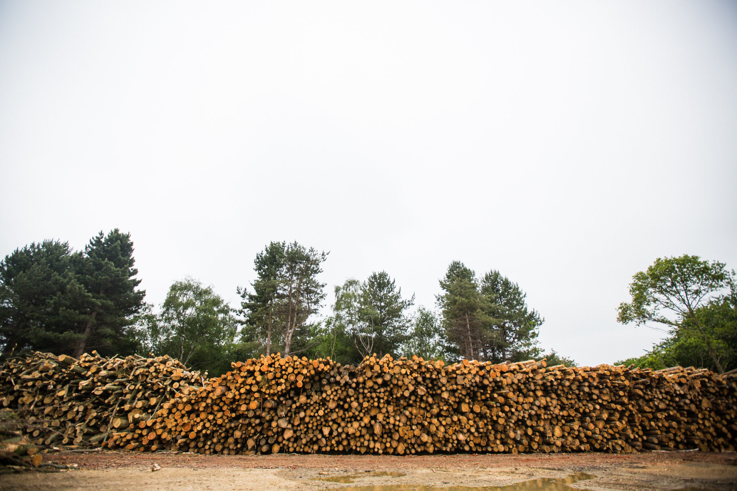 Stacked biomass wood fuel at H.G. Matthews' Brickworks, reducing diesel use in brick production