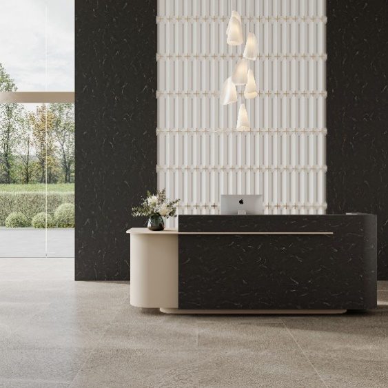 Aurora Nero, reception desk application