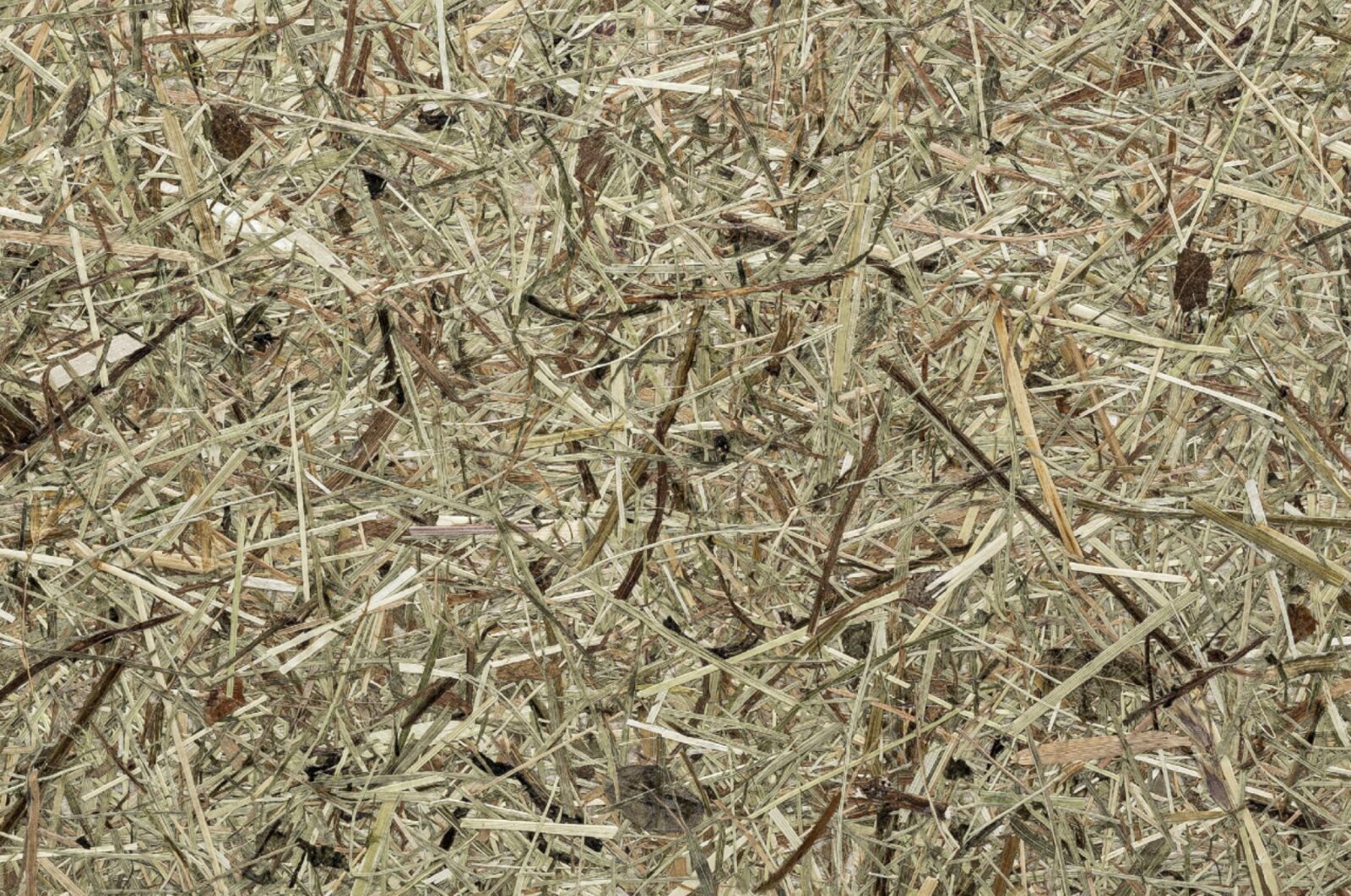 Close-up of Organoid Wildspitze wallcovering by CaraGreen, made from hand cut alpine hay pressed onto a flax fleece backing